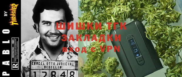 тгк Осинники