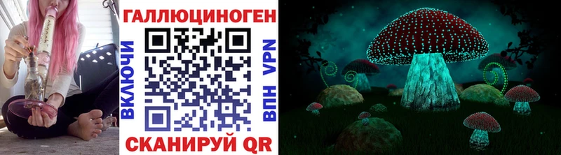 наркошоп  ОМГ ОМГ ТОР  Галлюциногенные грибы GOLDEN TEACHER  Судогда 